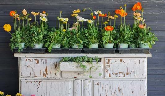 Blumenschrank